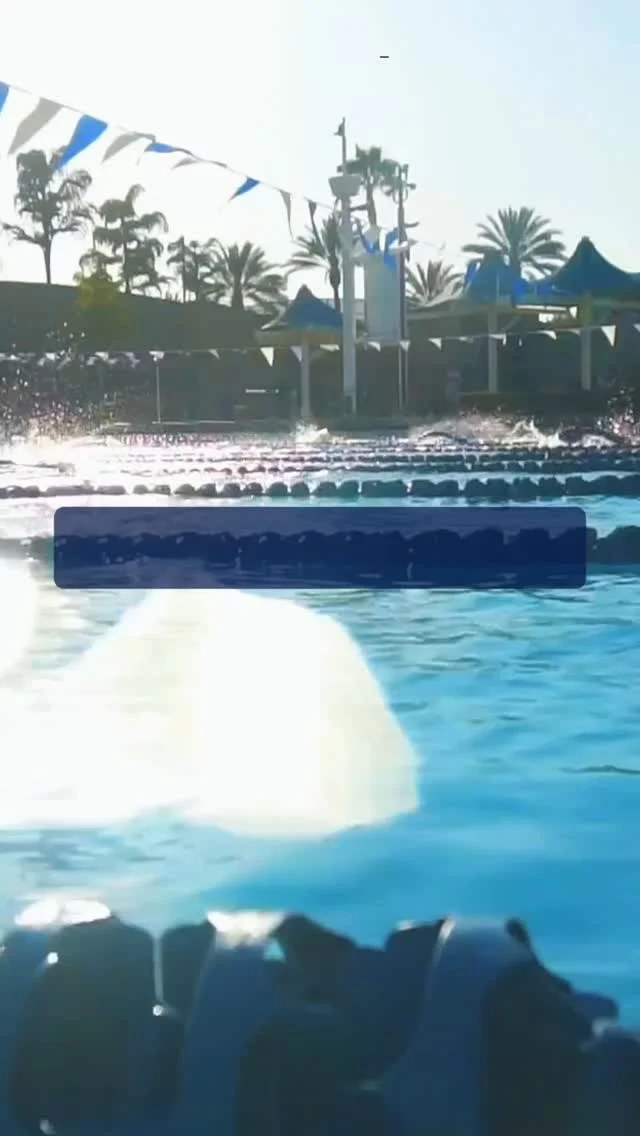 Instagram post from neptuneaquaticsclub. This post is in position 3.